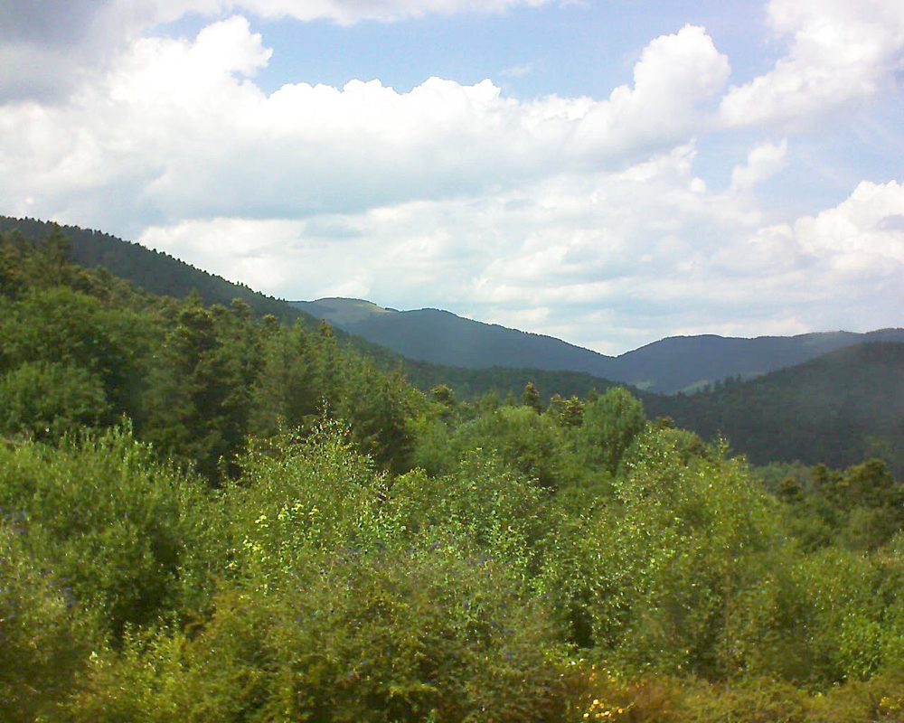 Le petit ballon vu depuis le Domaine Langmatt à Murbach le 16.07.2018 à 15:30 Le petit ballon (Alsace, Vosges) le 16.07.2018 à 15:30
