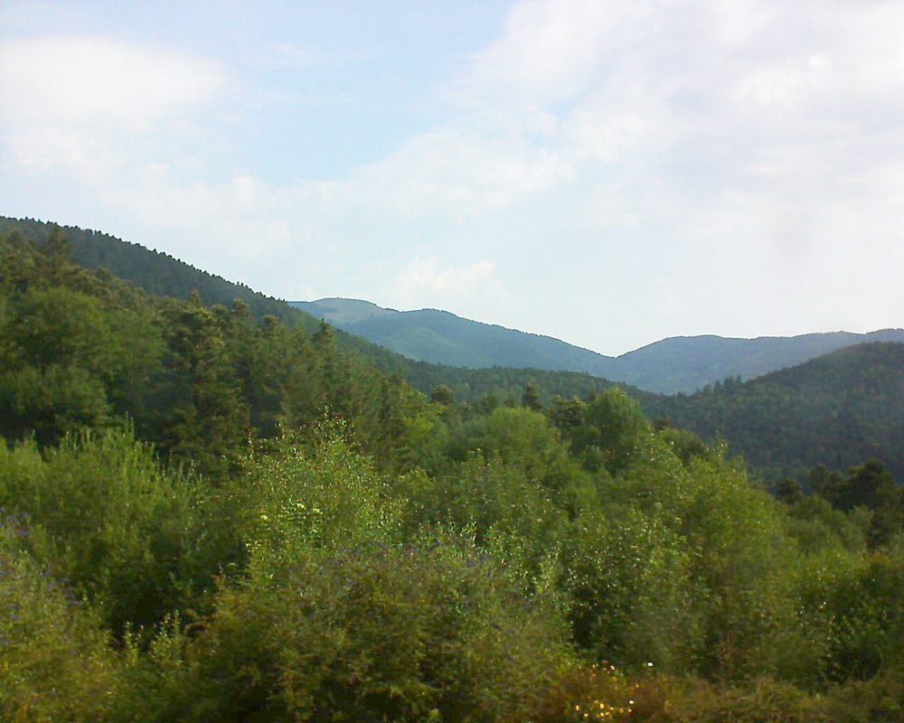 Le petit ballon vu depuis le Domaine Langmatt à Murbach le 17.07.2018 à 09:30 Le petit ballon (Alsace, Vosges) le 17.07.2018 à 09:30