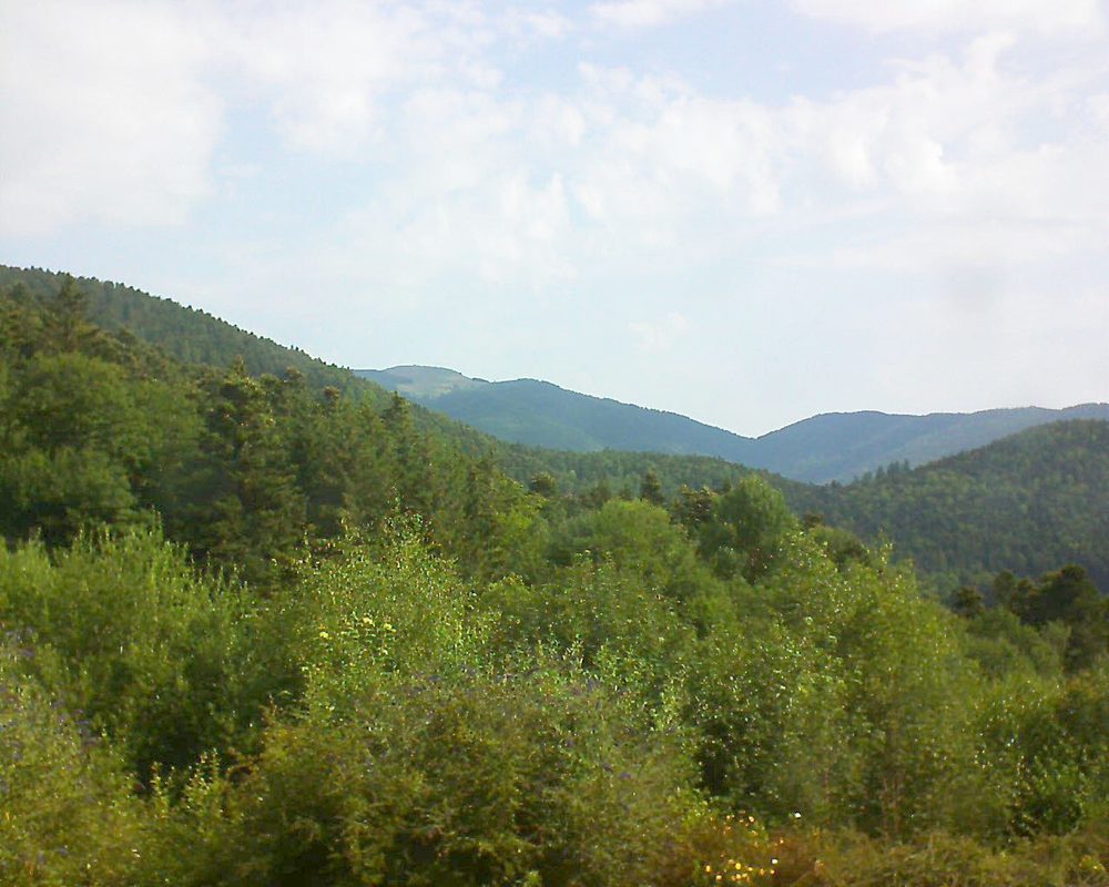 Le petit ballon vu depuis le Domaine Langmatt à Murbach le 17.07.2018 à 09:45 Le petit ballon (Alsace, Vosges) le 17.07.2018 à 09:45