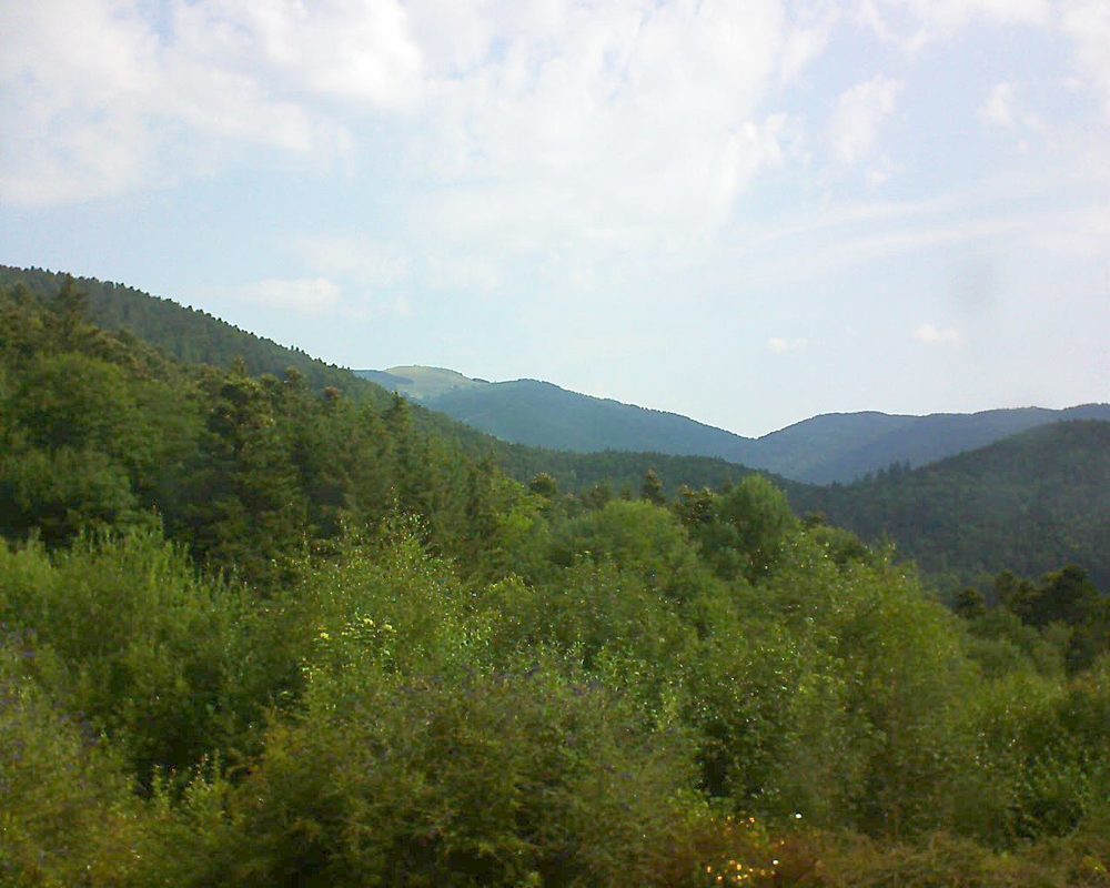 Le petit ballon vu depuis le Domaine Langmatt à Murbach le 17.07.2018 à 10:00 Le petit ballon (Alsace, Vosges) le 17.07.2018 à 10:00