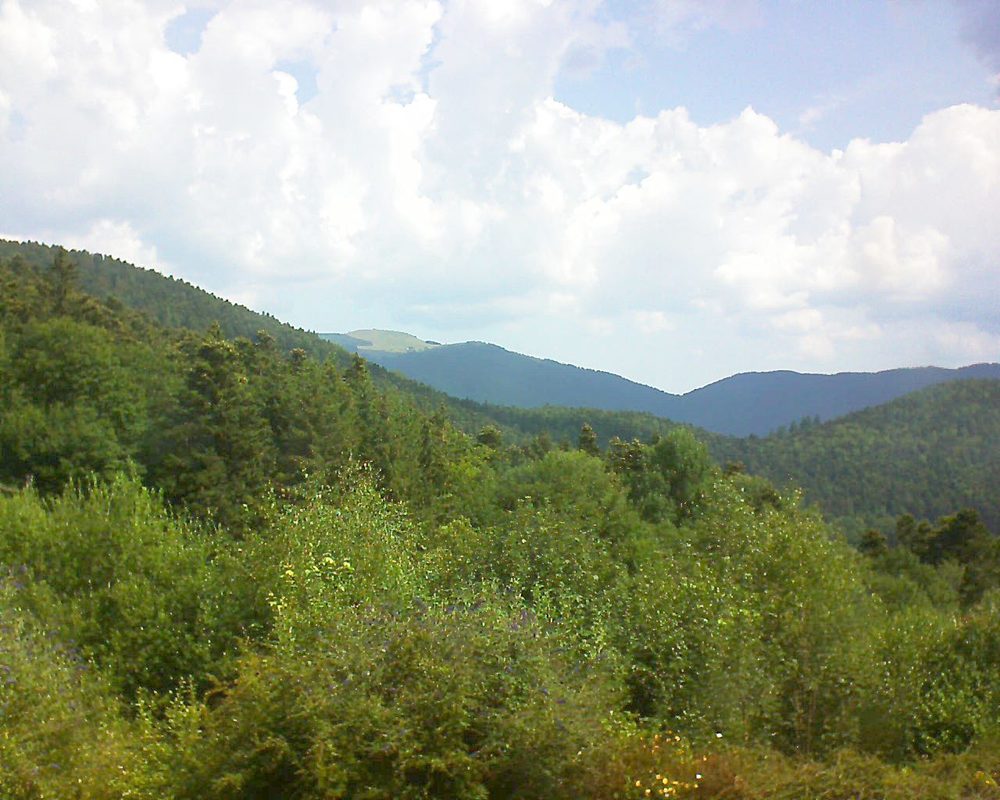 Le petit ballon vu depuis le Domaine Langmatt à Murbach le 17.07.2018 à 11:00 Le petit ballon (Alsace, Vosges) le 17.07.2018 à 11:00