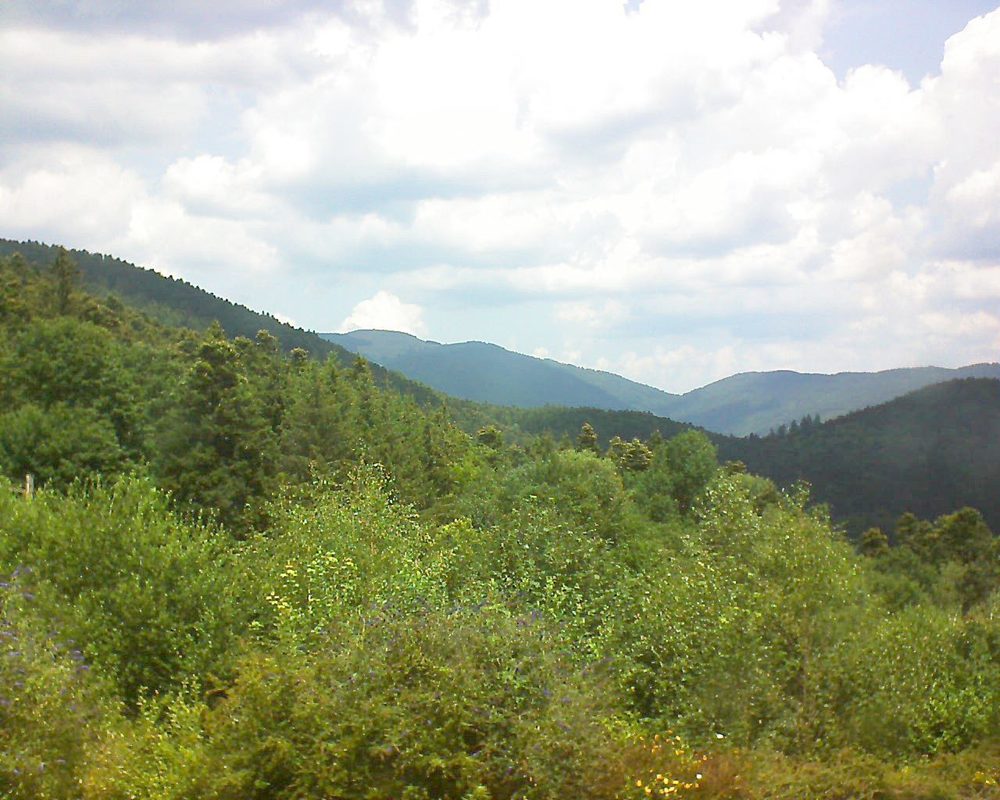Le petit ballon vu depuis le Domaine Langmatt à Murbach le 17.07.2018 à 13:00 Le petit ballon (Alsace, Vosges) le 17.07.2018 à 13:00