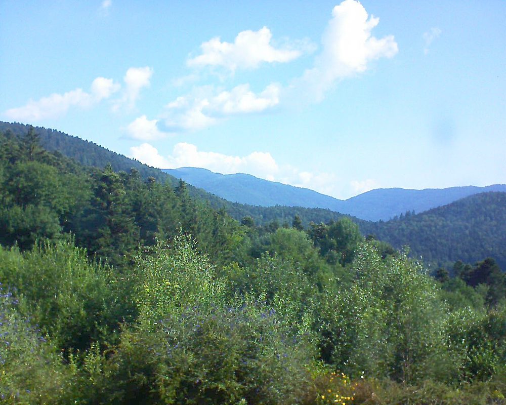 Le petit ballon vu depuis le Domaine Langmatt à Murbach le 18.07.2018 à 09:45 Le petit ballon (Alsace, Vosges) le 18.07.2018 à 09:45