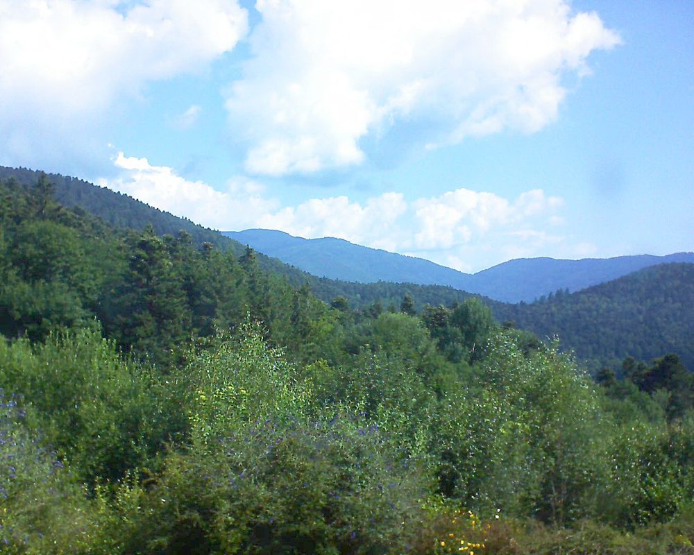 Le petit ballon vu depuis le Domaine Langmatt à Murbach le 18.07.2018 à 10:30 Le petit ballon (Alsace, Vosges) le 18.07.2018 à 10:30