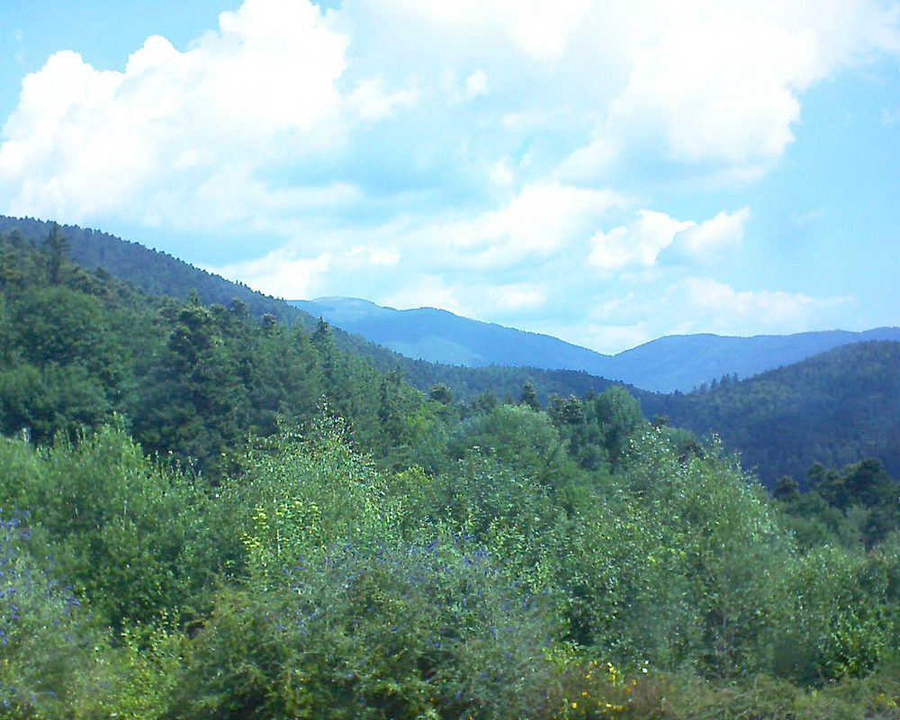 Le petit ballon vu depuis le Domaine Langmatt à Murbach le 18.07.2018 à 11:45 Le petit ballon (Alsace, Vosges) le 18.07.2018 à 11:45