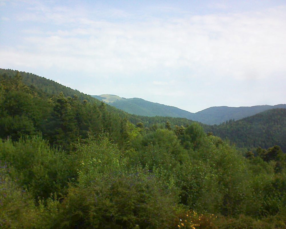 Le petit ballon vu depuis le Domaine Langmatt à Murbach le 19.07.2018 à 10:15 Le petit ballon (Alsace, Vosges) le 19.07.2018 à 10:15