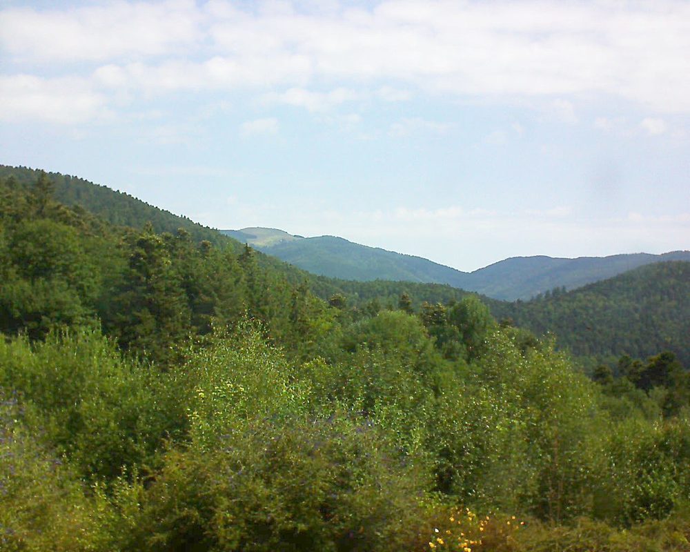 Le petit ballon vu depuis le Domaine Langmatt à Murbach le 19.07.2018 à 10:45 Le petit ballon (Alsace, Vosges) le 19.07.2018 à 10:45