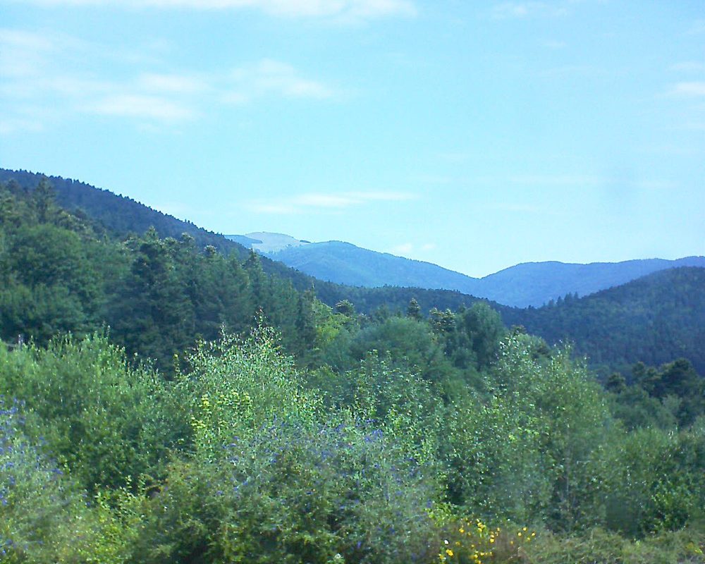 Le petit ballon vu depuis le Domaine Langmatt à Murbach le 19.07.2018 à 11:30 Le petit ballon (Alsace, Vosges) le 19.07.2018 à 11:30
