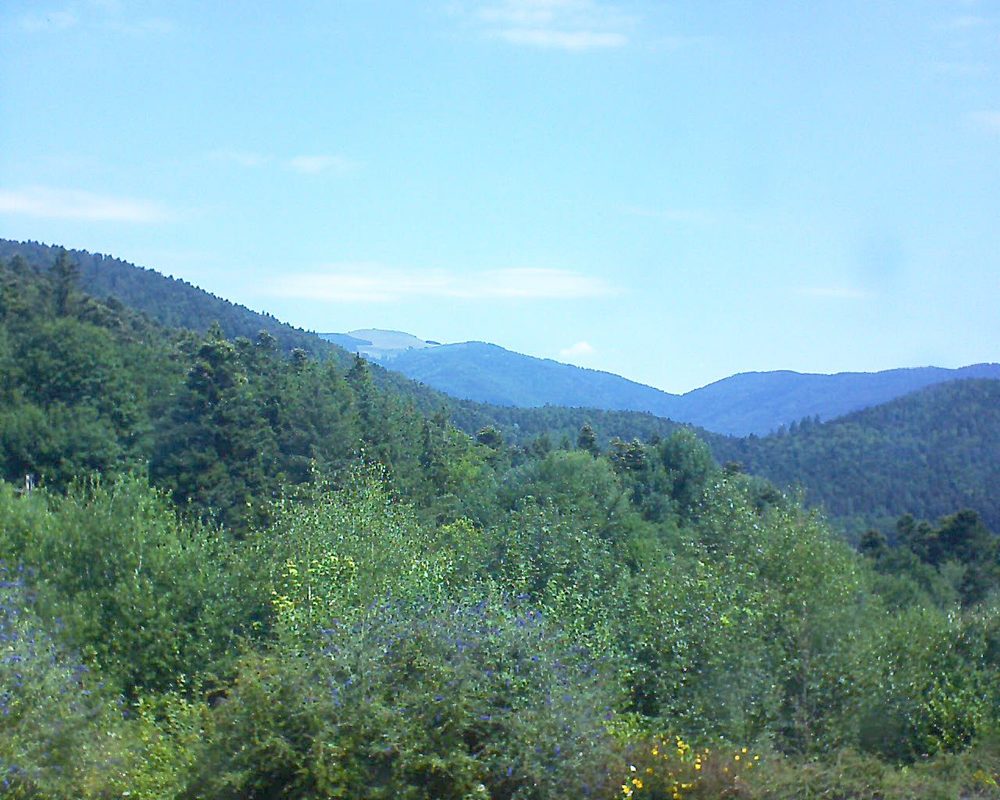 Le petit ballon vu depuis le Domaine Langmatt à Murbach le 19.07.2018 à 11:45 Le petit ballon (Alsace, Vosges) le 19.07.2018 à 11:45