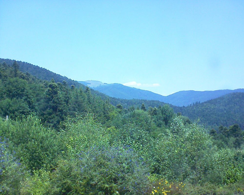 Le petit ballon vu depuis le Domaine Langmatt à Murbach le 19.07.2018 à 13:00 Le petit ballon (Alsace, Vosges) le 19.07.2018 à 13:00