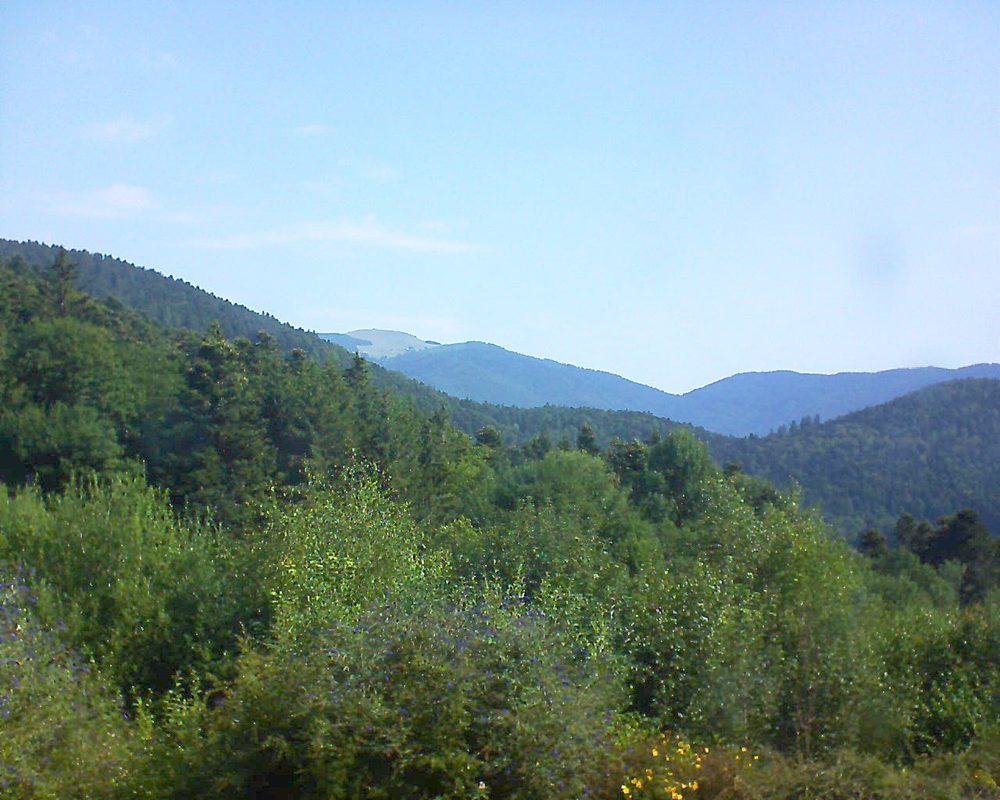 Le petit ballon vu depuis le Domaine Langmatt à Murbach le 20.07.2018 à 10:00 Le petit ballon (Alsace, Vosges) le 20.07.2018 à 10:00