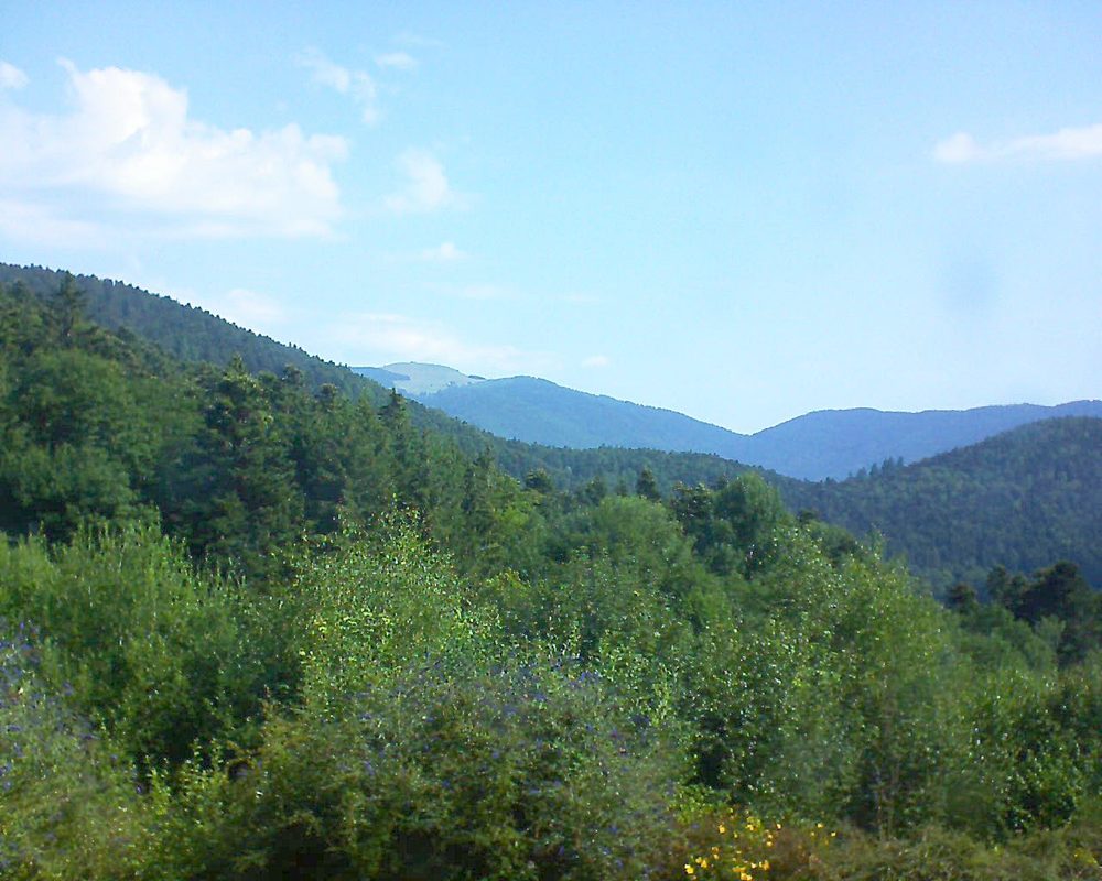 Le petit ballon vu depuis le Domaine Langmatt à Murbach le 20.07.2018 à 10:15 Le petit ballon (Alsace, Vosges) le 20.07.2018 à 10:15