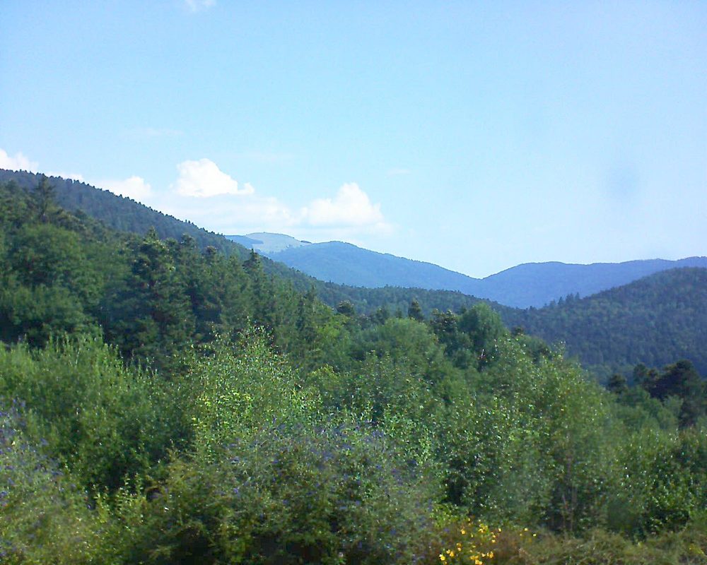 Le petit ballon vu depuis le Domaine Langmatt à Murbach le 20.07.2018 à 10:30 Le petit ballon (Alsace, Vosges) le 20.07.2018 à 10:30