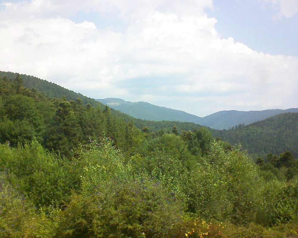 Le petit ballon vu depuis le Domaine Langmatt à Murbach le 20.07.2018 à 11:30 Le petit ballon (Alsace, Vosges) le 20.07.2018 à 11:30