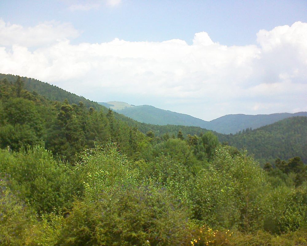 Le petit ballon vu depuis le Domaine Langmatt à Murbach le 20.07.2018 à 11:45 Le petit ballon (Alsace, Vosges) le 20.07.2018 à 11:45