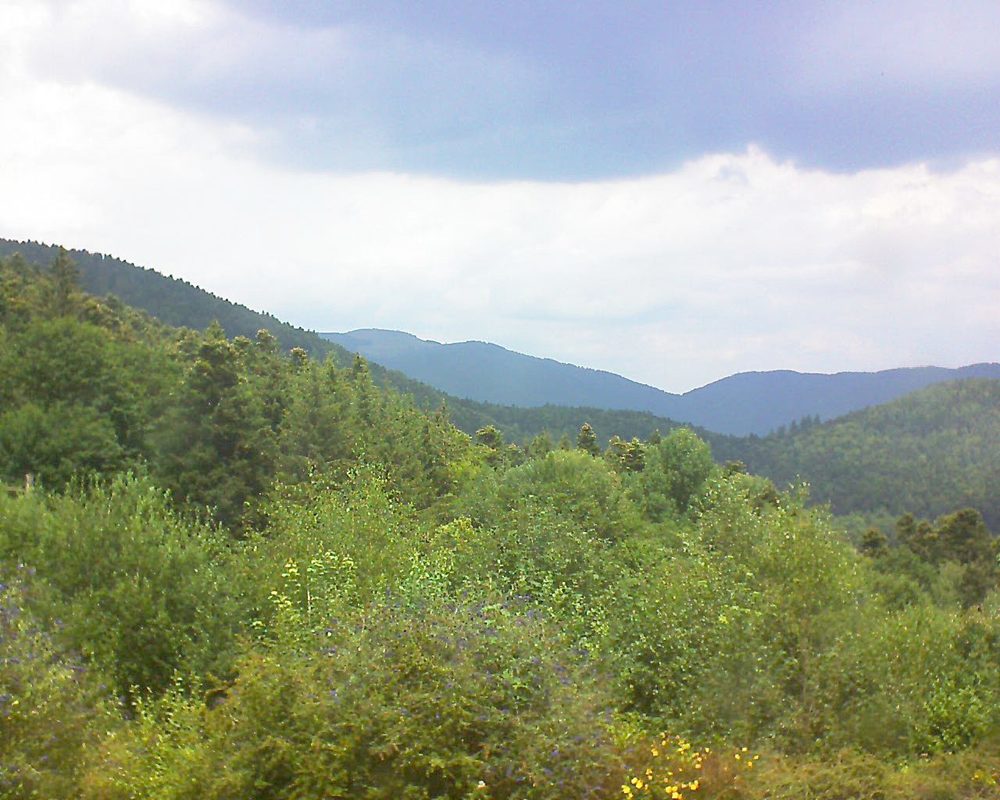 Le petit ballon vu depuis le Domaine Langmatt à Murbach le 20.07.2018 à 13:15 Le petit ballon (Alsace, Vosges) le 20.07.2018 à 13:15