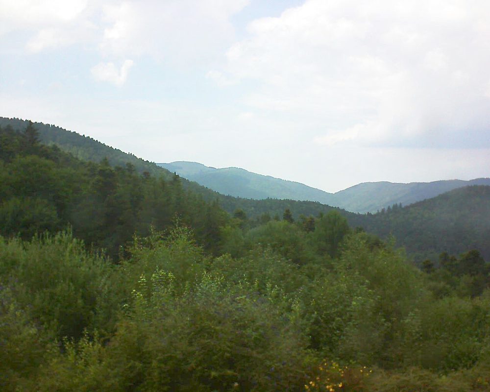 Le petit ballon vu depuis le Domaine Langmatt à Murbach le 20.07.2018 à 15:15 Le petit ballon (Alsace, Vosges) le 20.07.2018 à 15:15