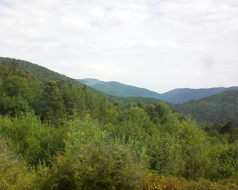 Le petit ballon vu depuis le Domaine Langmatt à Murbach le 22.07.2018 à 10:30 Le petit ballon (Alsace, Vosges) le 22.07.2018 à 10:30