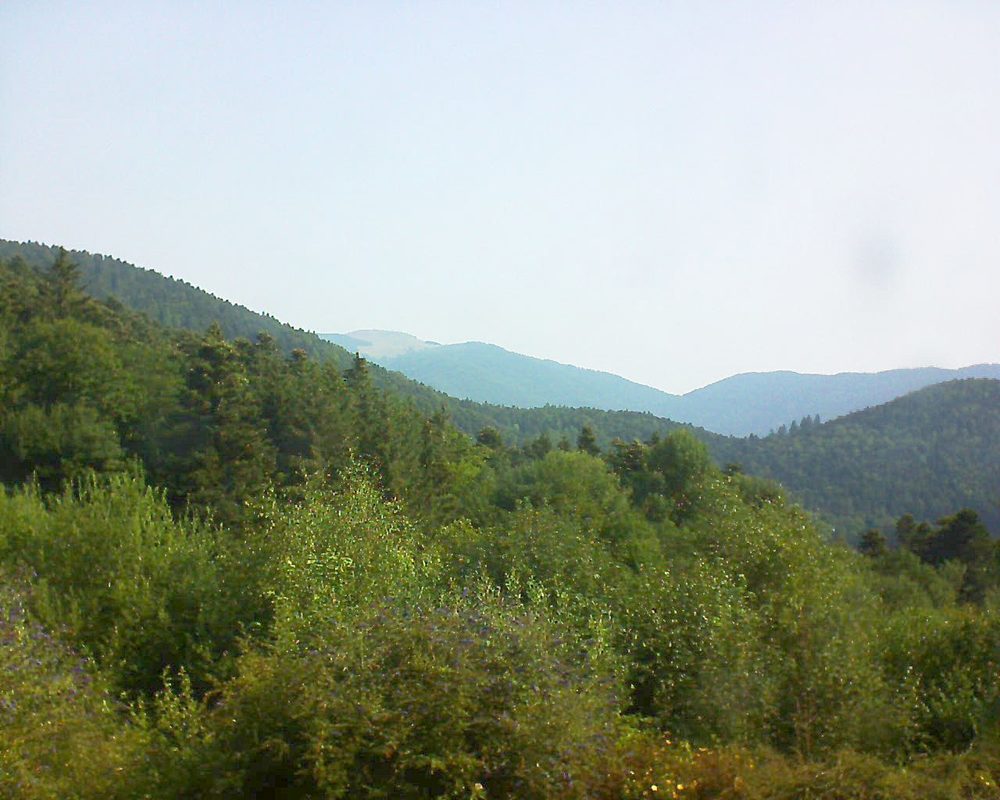 Le petit ballon vu depuis le Domaine Langmatt à Murbach le 23.07.2018 à 09:45 Le petit ballon (Alsace, Vosges) le 23.07.2018 à 09:45