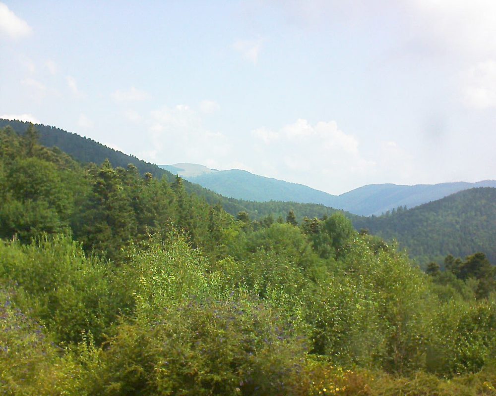 Le petit ballon vu depuis le Domaine Langmatt à Murbach le 23.07.2018 à 11:00 Le petit ballon (Alsace, Vosges) le 23.07.2018 à 11:00