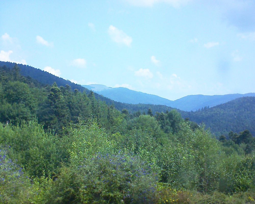 Le petit ballon vu depuis le Domaine Langmatt à Murbach le 23.07.2018 à 11:15 Le petit ballon (Alsace, Vosges) le 23.07.2018 à 11:15