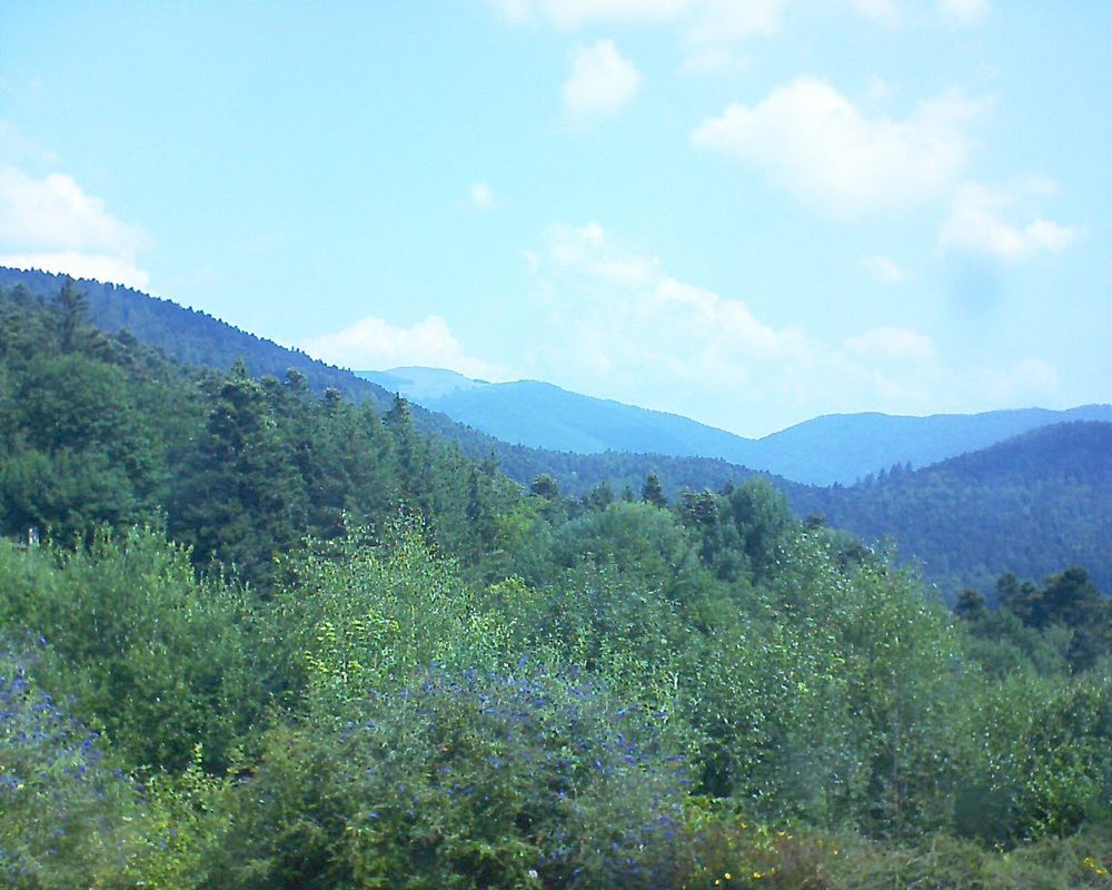 Le petit ballon vu depuis le Domaine Langmatt à Murbach le 23.07.2018 à 11:30 Le petit ballon (Alsace, Vosges) le 23.07.2018 à 11:30