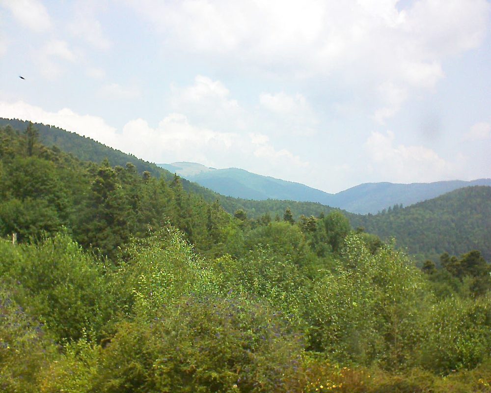 Le petit ballon vu depuis le Domaine Langmatt à Murbach le 23.07.2018 à 12:15 Le petit ballon (Alsace, Vosges) le 23.07.2018 à 12:15