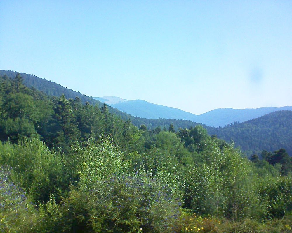 Le petit ballon vu depuis le Domaine Langmatt à Murbach le 24.07.2018 à 09:45 Le petit ballon (Alsace, Vosges) le 24.07.2018 à 09:45