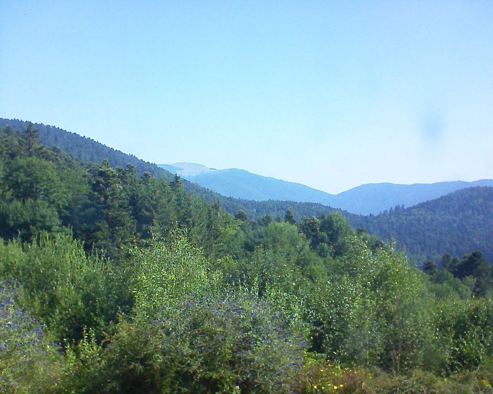 Le petit ballon vu depuis le Domaine Langmatt à Murbach le 24.07.2018 à 10:00 Le petit ballon (Alsace, Vosges) le 24.07.2018 à 10:00