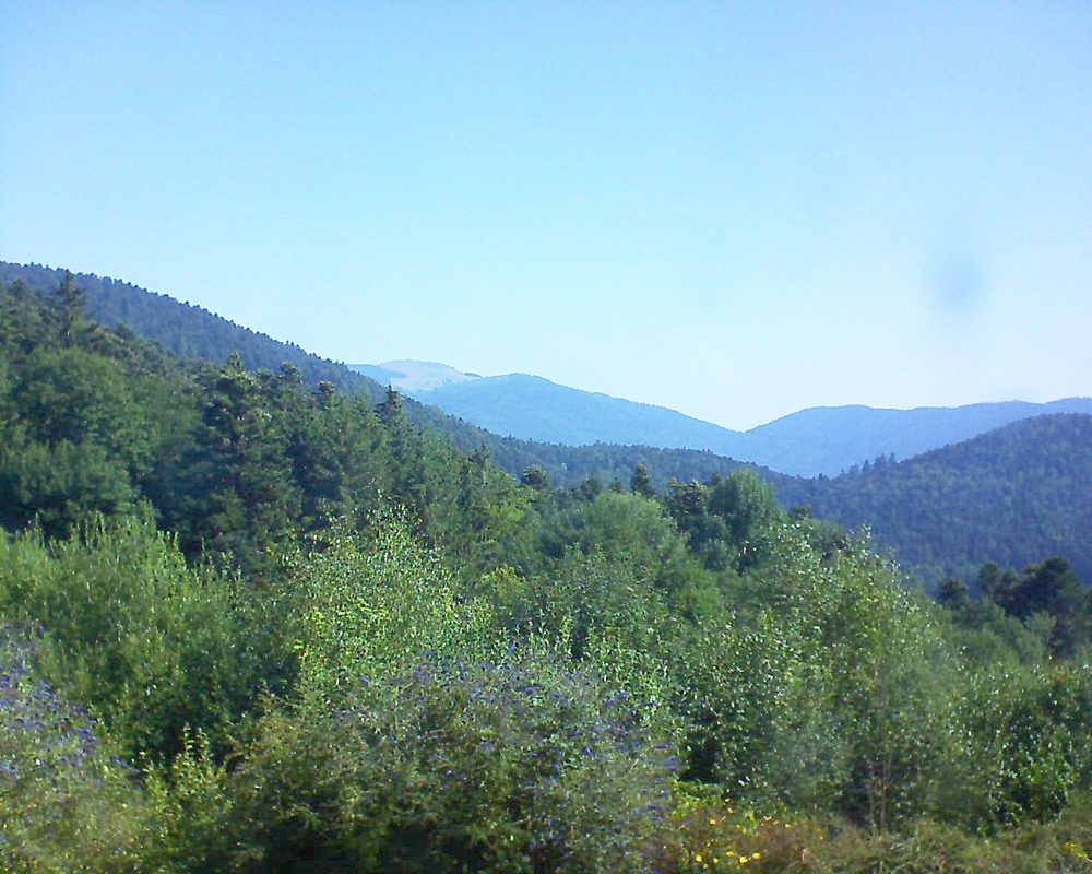 Le petit ballon vu depuis le Domaine Langmatt à Murbach le 24.07.2018 à 10:15 Le petit ballon (Alsace, Vosges) le 24.07.2018 à 10:15