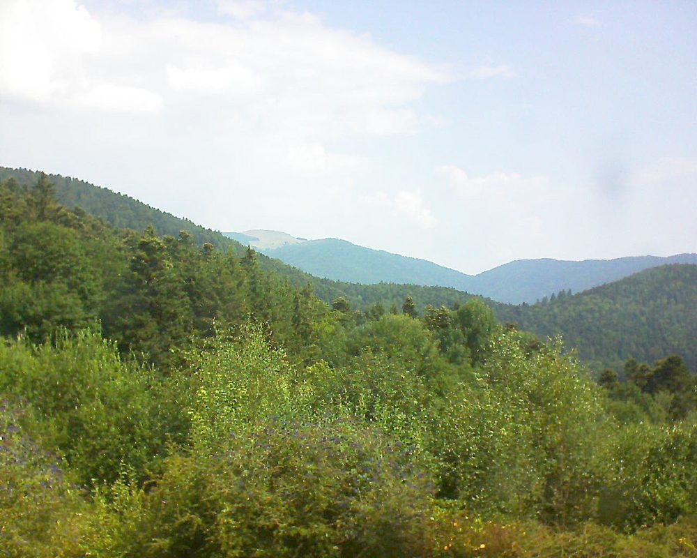 Le petit ballon vu depuis le Domaine Langmatt à Murbach le 25.07.2018 à 11:15 Le petit ballon (Alsace, Vosges) le 25.07.2018 à 11:15