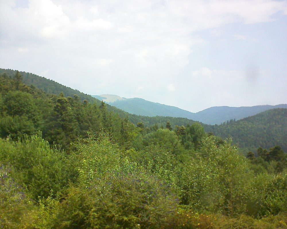 Le petit ballon vu depuis le Domaine Langmatt à Murbach le 25.07.2018 à 11:30 Le petit ballon (Alsace, Vosges) le 25.07.2018 à 11:30