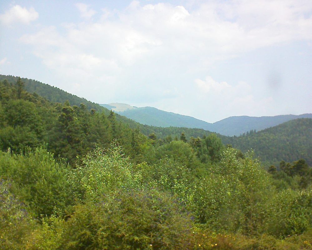 Le petit ballon vu depuis le Domaine Langmatt à Murbach le 25.07.2018 à 12:00 Le petit ballon (Alsace, Vosges) le 25.07.2018 à 12:00