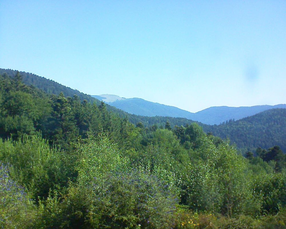 Le petit ballon vu depuis le Domaine Langmatt à Murbach le 26.07.2018 à 09:45 Le petit ballon (Alsace, Vosges) le 26.07.2018 à 09:45