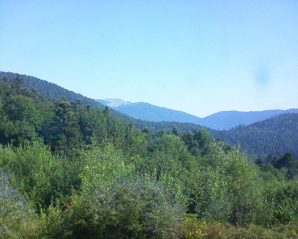 Le petit ballon vu depuis le Domaine Langmatt à Murbach le 26.07.2018 à 10:15 Le petit ballon (Alsace, Vosges) le 26.07.2018 à 10:15