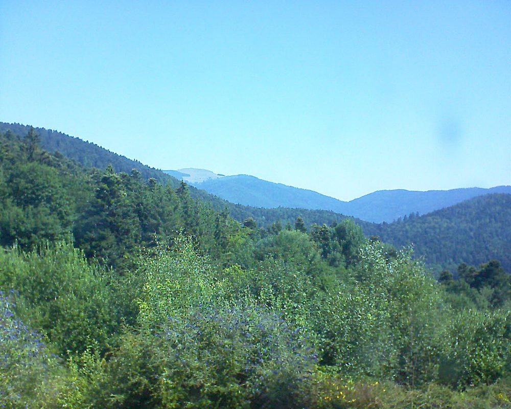 Le petit ballon vu depuis le Domaine Langmatt à Murbach le 26.07.2018 à 11:15 Le petit ballon (Alsace, Vosges) le 26.07.2018 à 11:15