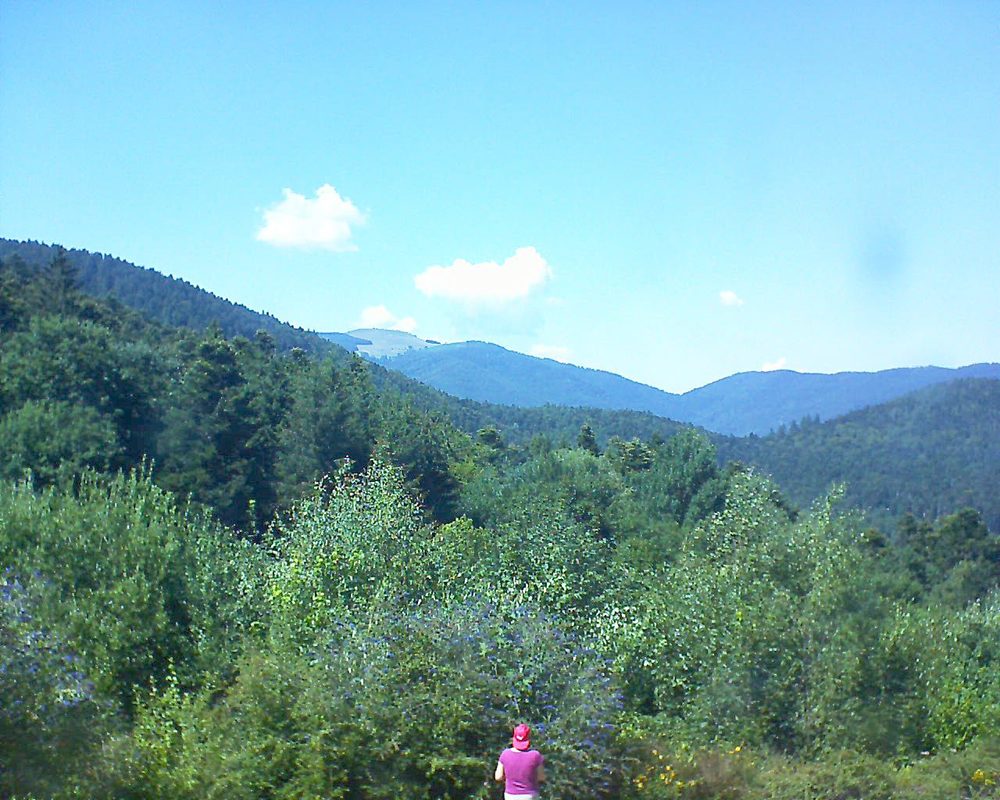 Le petit ballon vu depuis le Domaine Langmatt à Murbach le 26.07.2018 à 15:30 Le petit ballon (Alsace, Vosges) le 26.07.2018 à 15:30