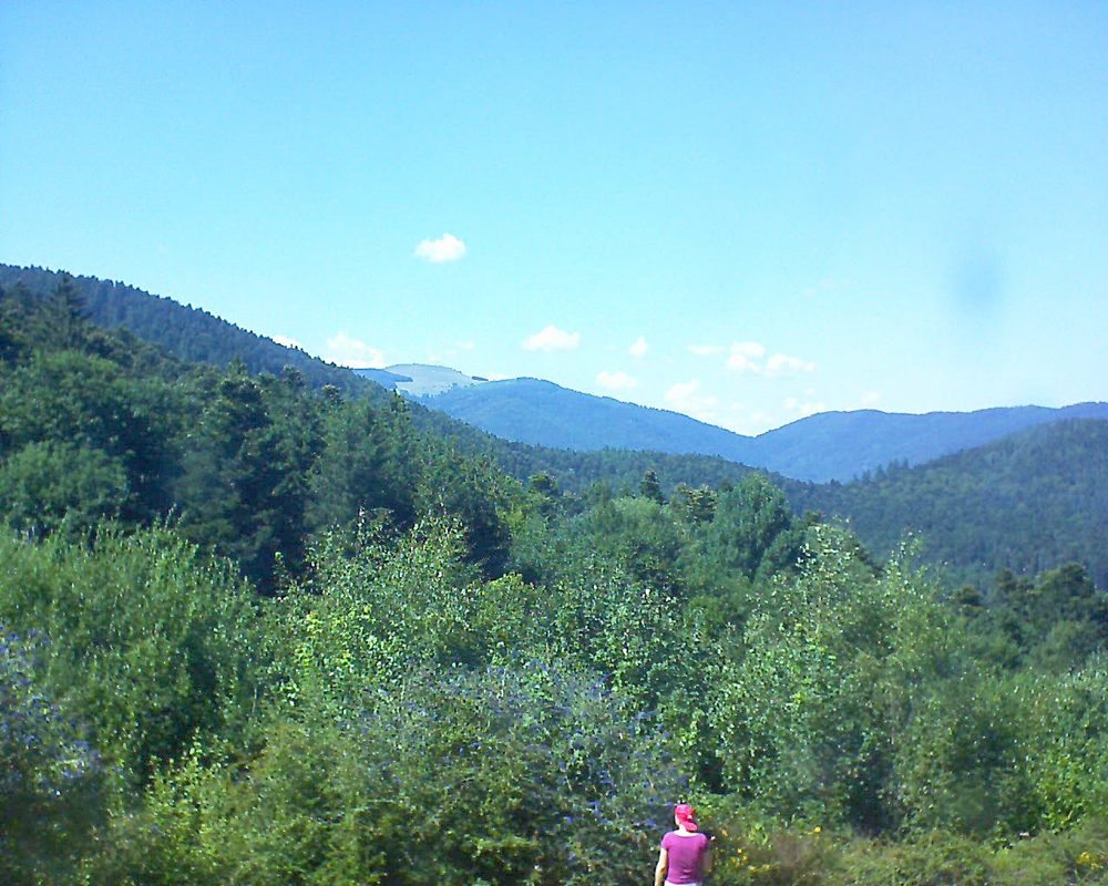 Le petit ballon vu depuis le Domaine Langmatt à Murbach le 26.07.2018 à 15:45 Le petit ballon (Alsace, Vosges) le 26.07.2018 à 15:45