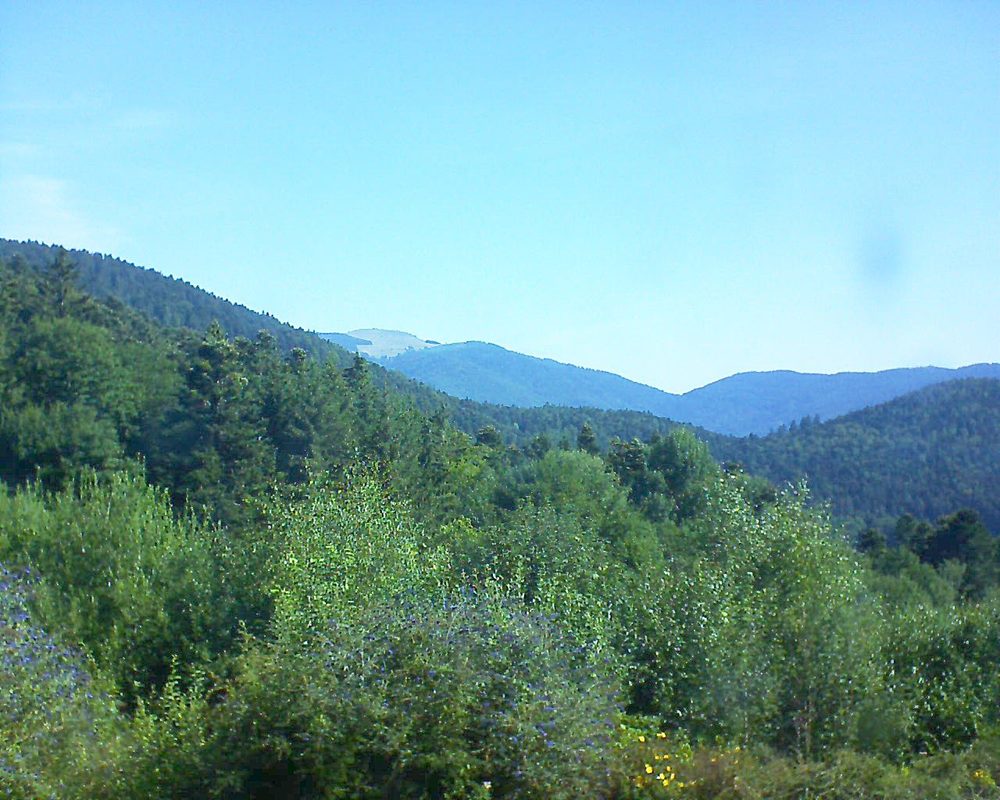 Le petit ballon vu depuis le Domaine Langmatt à Murbach le 27.07.2018 à 10:00 Le petit ballon (Alsace, Vosges) le 27.07.2018 à 10:00