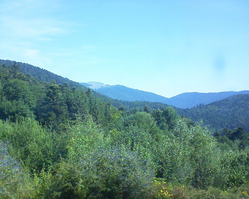 Le petit ballon vu depuis le Domaine Langmatt à Murbach le 27.07.2018 à 10:45 Le petit ballon (Alsace, Vosges) le 27.07.2018 à 10:45