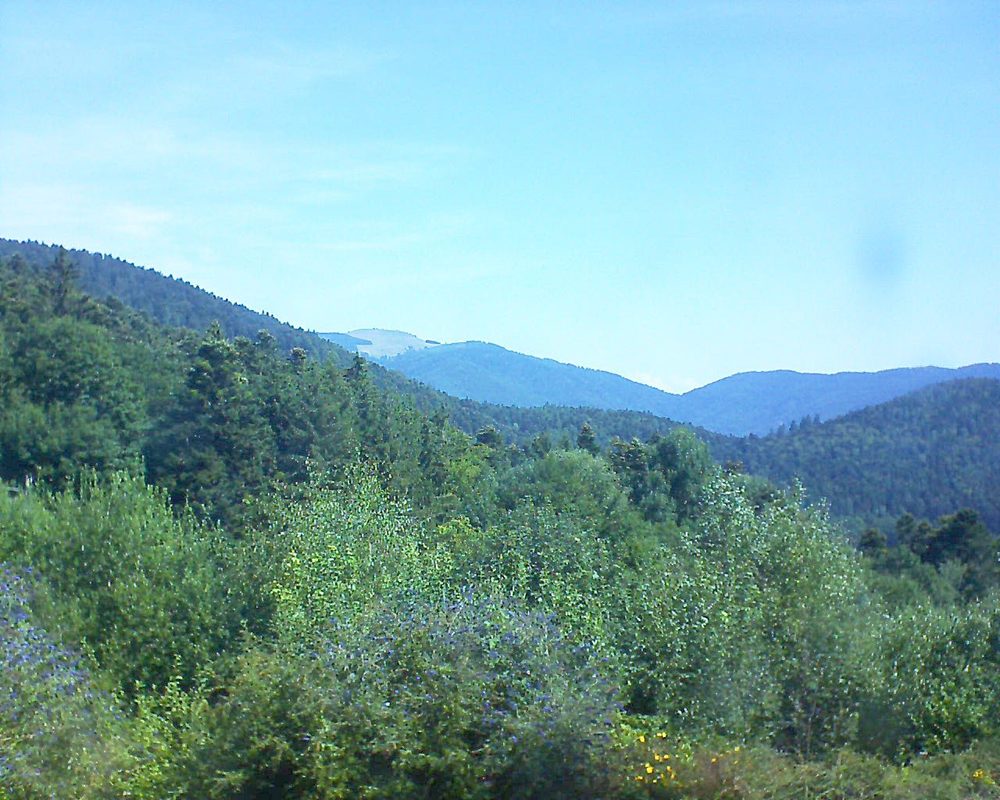 Le petit ballon vu depuis le Domaine Langmatt à Murbach le 27.07.2018 à 11:15 Le petit ballon (Alsace, Vosges) le 27.07.2018 à 11:15