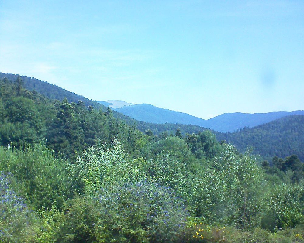Le petit ballon vu depuis le Domaine Langmatt à Murbach le 27.07.2018 à 11:30 Le petit ballon (Alsace, Vosges) le 27.07.2018 à 11:30