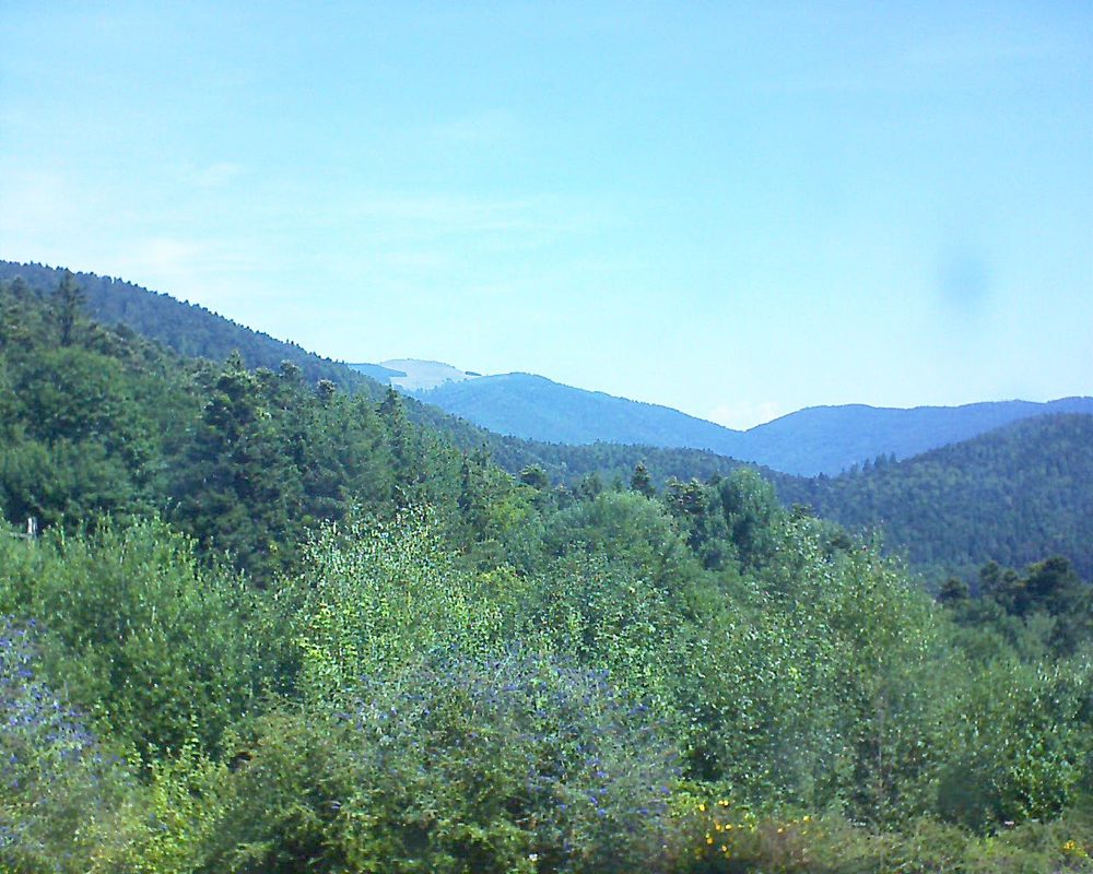 Le petit ballon vu depuis le Domaine Langmatt à Murbach le 27.07.2018 à 11:45 Le petit ballon (Alsace, Vosges) le 27.07.2018 à 11:45