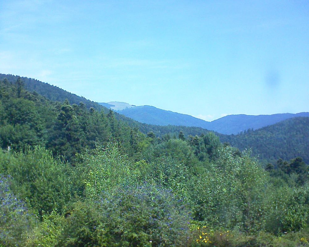 Le petit ballon vu depuis le Domaine Langmatt à Murbach le 27.07.2018 à 12:00 Le petit ballon (Alsace, Vosges) le 27.07.2018 à 12:00