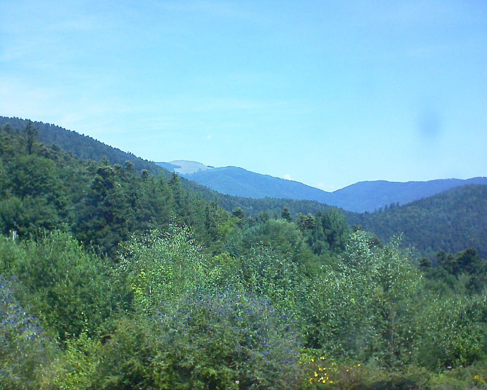 Le petit ballon vu depuis le Domaine Langmatt à Murbach le 27.07.2018 à 12:15 Le petit ballon (Alsace, Vosges) le 27.07.2018 à 12:15