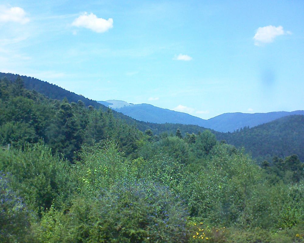 Le petit ballon vu depuis le Domaine Langmatt à Murbach le 27.07.2018 à 14:15 Le petit ballon (Alsace, Vosges) le 27.07.2018 à 14:15