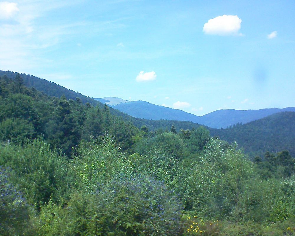 Le petit ballon vu depuis le Domaine Langmatt à Murbach le 27.07.2018 à 14:30 Le petit ballon (Alsace, Vosges) le 27.07.2018 à 14:30