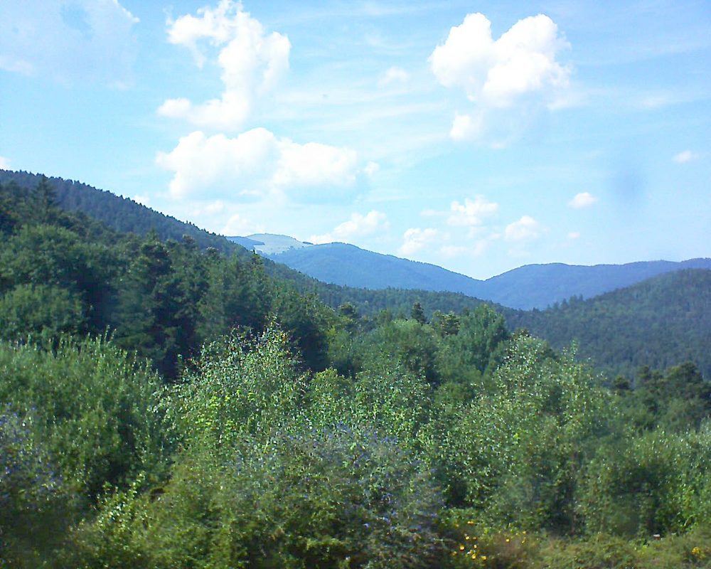 Le petit ballon vu depuis le Domaine Langmatt à Murbach le 27.07.2018 à 16:15 Le petit ballon (Alsace, Vosges) le 27.07.2018 à 16:15