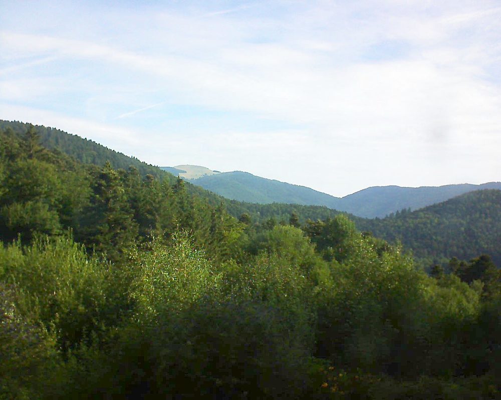Le petit ballon vu depuis le Domaine Langmatt à Murbach le 29.07.2018 à 09:00 Le petit ballon (Alsace, Vosges) le 29.07.2018 à 09:00
