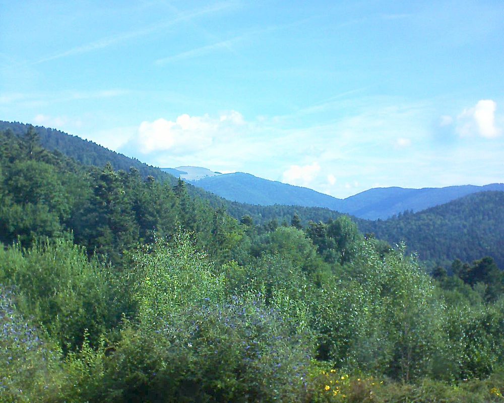 Le petit ballon vu depuis le Domaine Langmatt à Murbach le 29.07.2018 à 10:15 Le petit ballon (Alsace, Vosges) le 29.07.2018 à 10:15